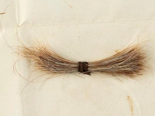 Աբրահամ Լինքոլնի մազերի փունջն աճուրդում վաճառվել է ավելի քան 81.000 դոլարով